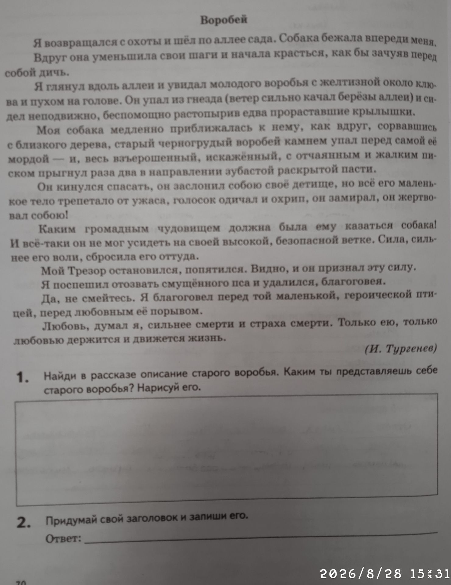 Фото задания: Найди в рассказе описание старого воробья. Каким ты представляешь себе старого воробья? Нарисуй его.