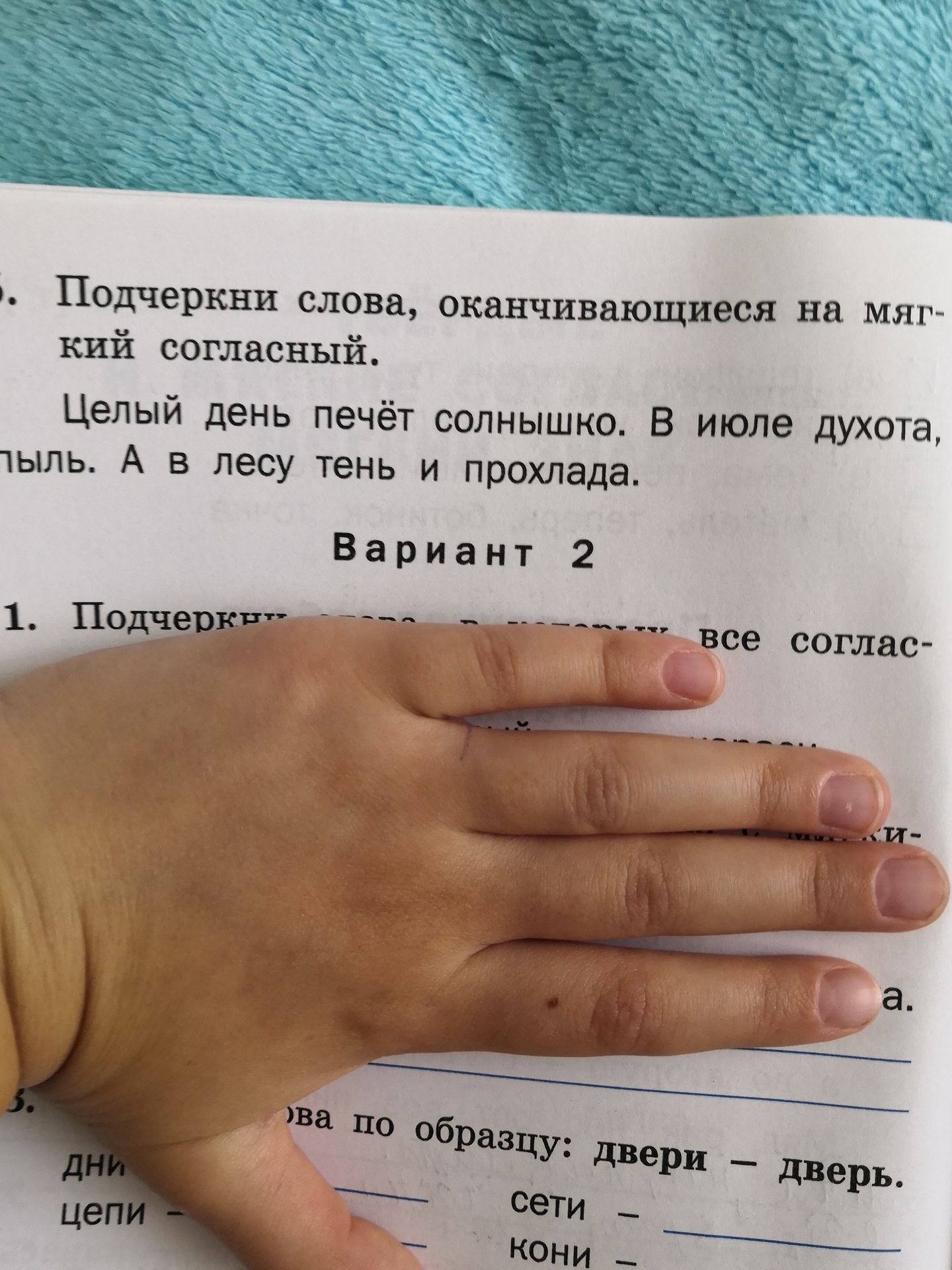 Фото задания: Подчеркни слова, оканчивающиеся на мягкий согласный. Целый день печёт солнышко. В июле духота, пыль. А в лесу тень и прохлада.