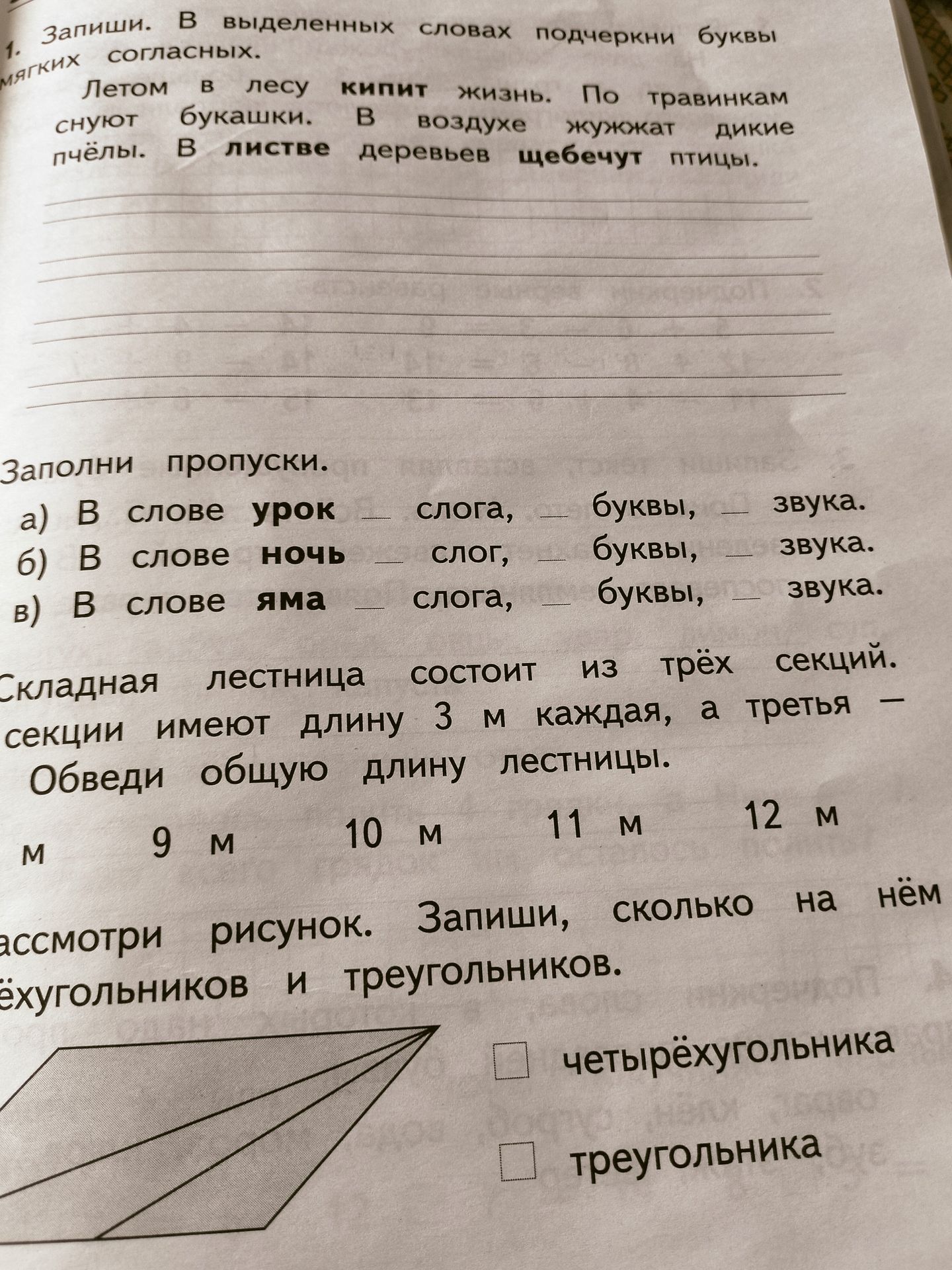 Фото задания: Складная лестница состоит из трёх секций. Две секции имеют длину 3 м каждая, а третья — 4 м. Обведи общую длину лестницы: 9…