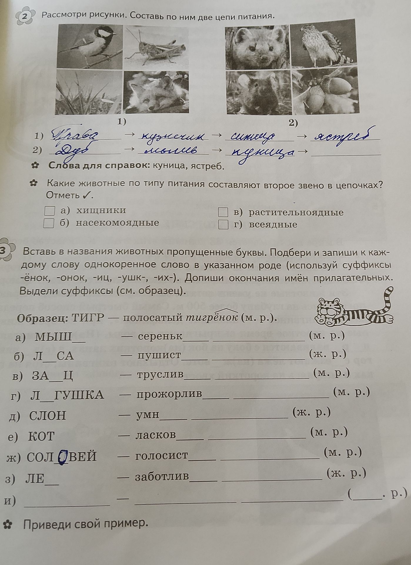 Фото задания: Рассмотри рисунки. Составь по ним две цепи питания. Какие животные по типу питания составляют второе звено в цепочках?…