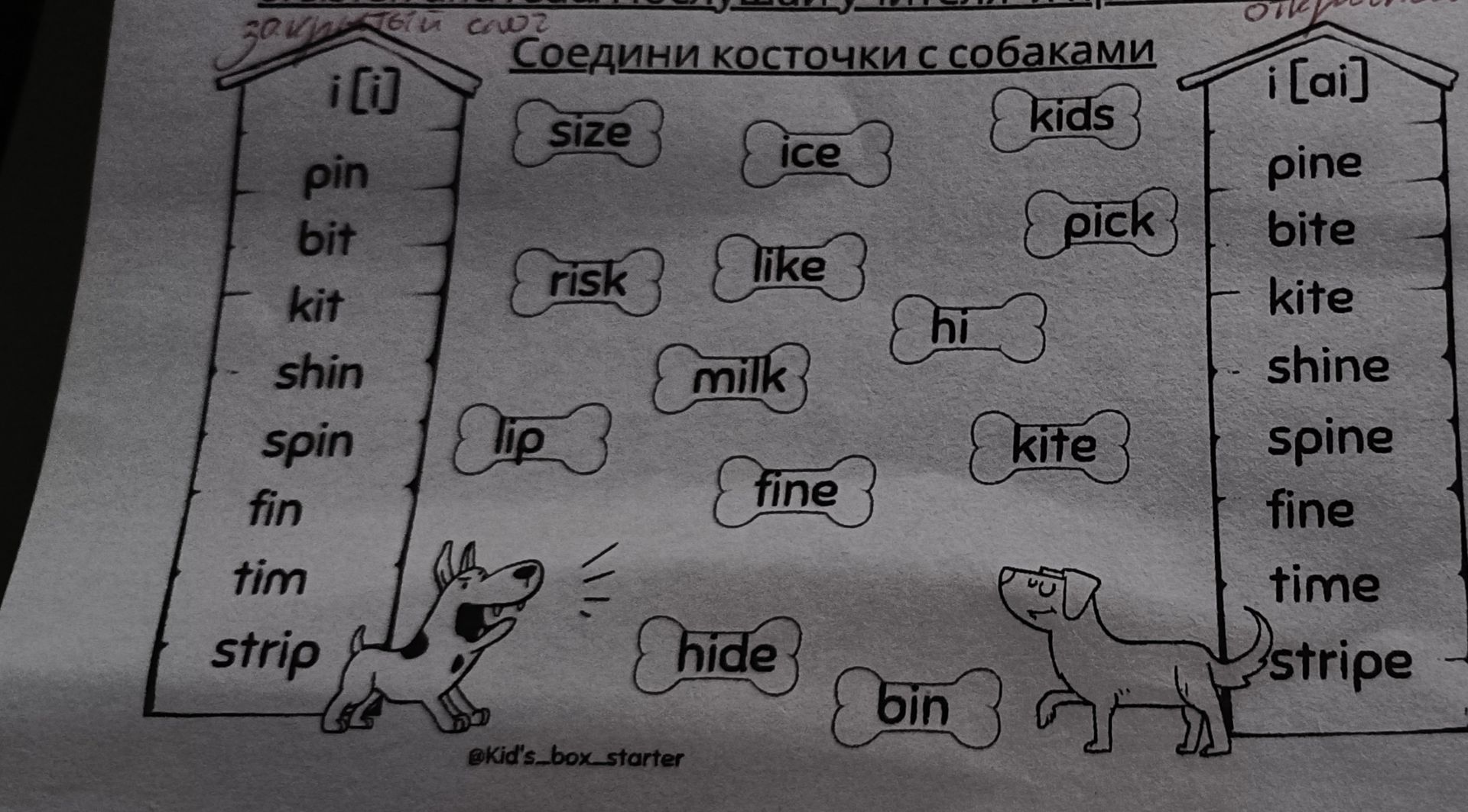 Фото задания: Соедини косточки с собаками: слева слова i, pin, bit, kit, shin, spin, fin, tim, strip; на косточках Size, ice, Kids, risk,…