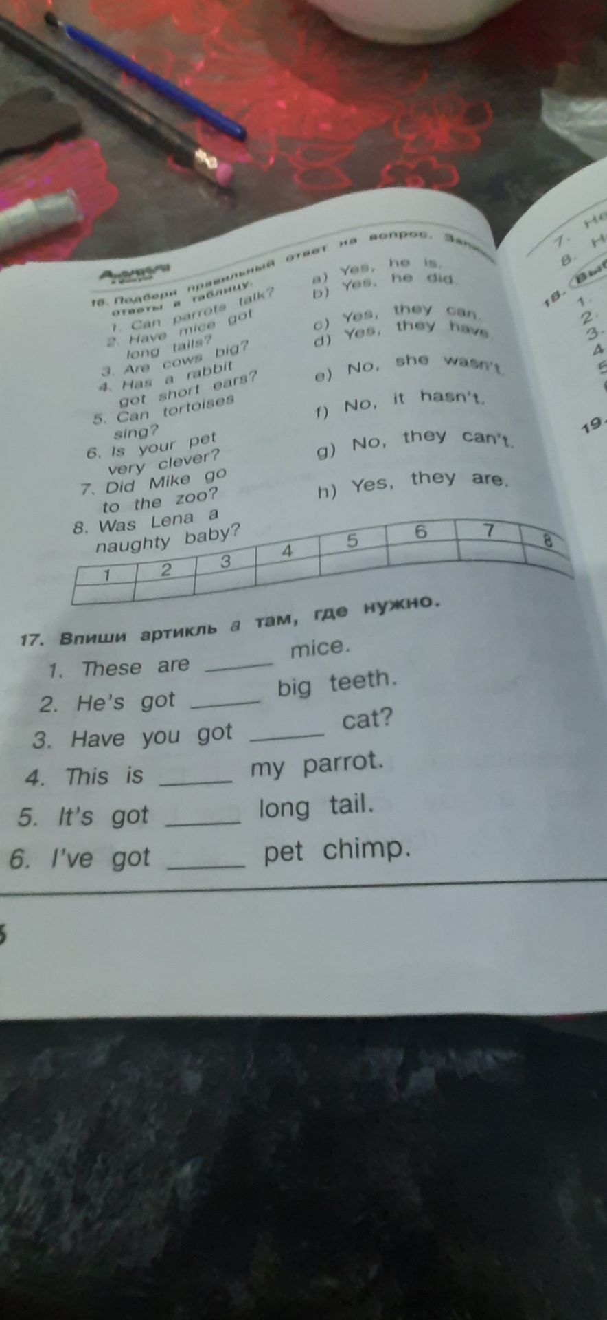 Фото задания: 16. Подбери правильные ответы: 1. Can parrots talk? 2. Have mice got long tails? 3. Are cows big? 4. Has a rabbit got short…