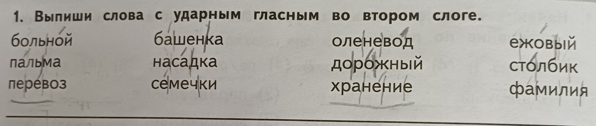 Фото задания: 1. Выпиши слова с ударным гласным во втором слоге: больной, пальма, перевоз, башенка, насадка, семечки, оленевод, дорожный,…