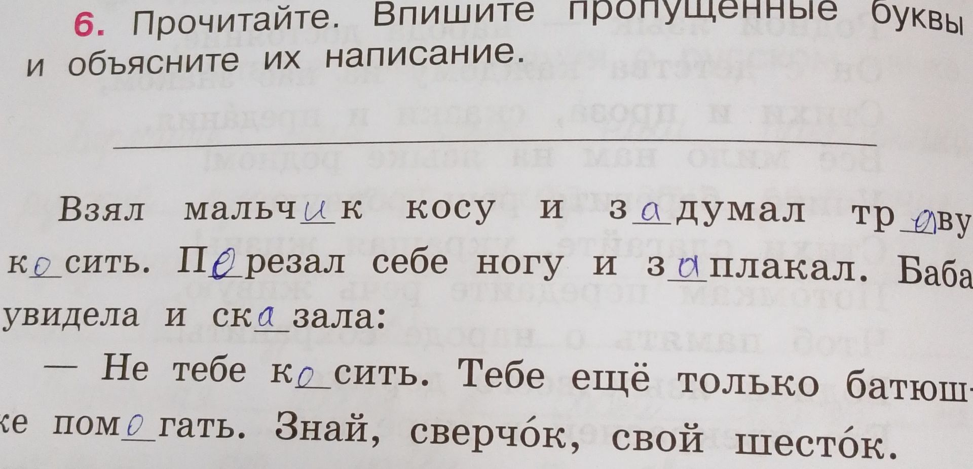 Фото задания: 6. Прочитайте. Впишите пропущенные буквы и объясните их написание. Взял мальчик косу и задумал траву косить. Перерезал себе…
