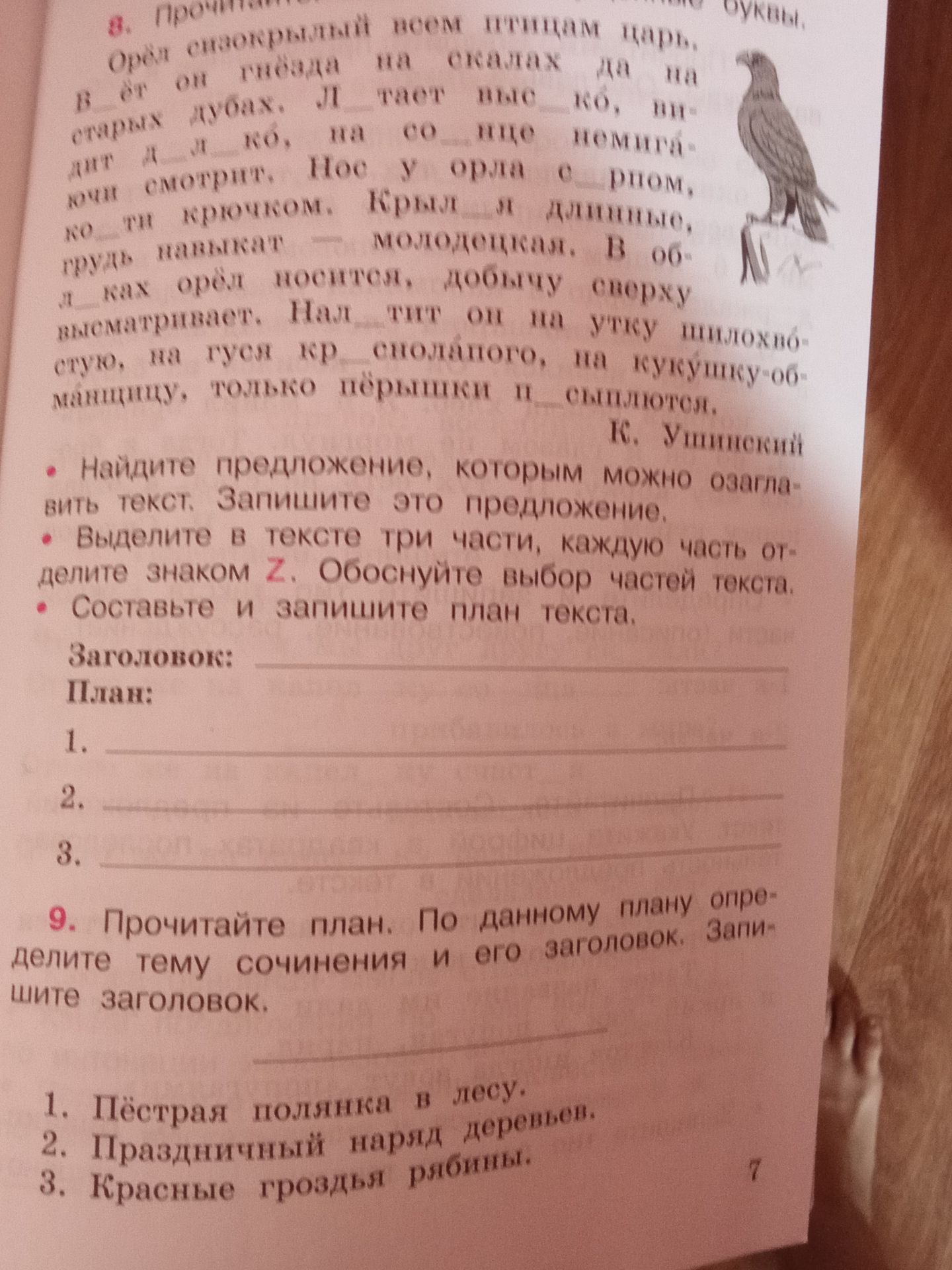 Фото задания: 9. Прочитайте план. По данному плану определите тему сочинения и его заголовок. Запишите заголовок. 1. Пёстрая полянка в…