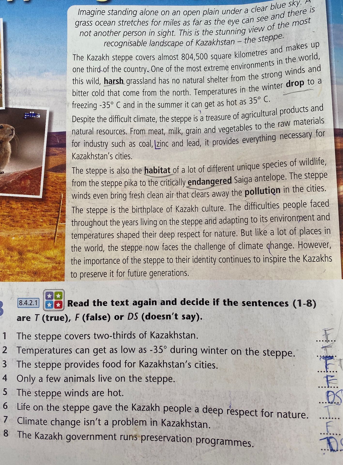 Фото задания: Read the text again and decide if the sentences (1–8) are T (true), F (false) or DS (doesn’t say): 1. The steppe covers…