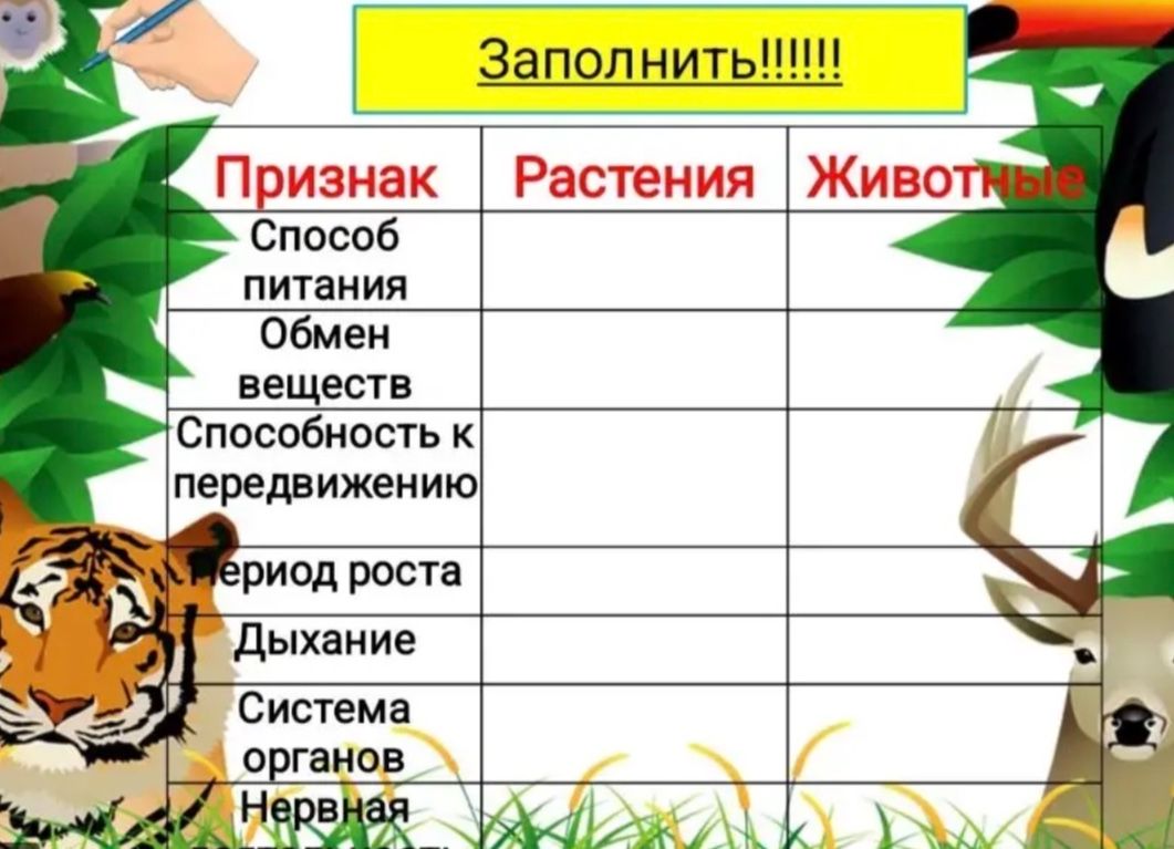Фото задания: Заполнить таблицу «Признак — Растения — Животные»: способ питания, обмен веществ, способность к передвижению, период роста,…