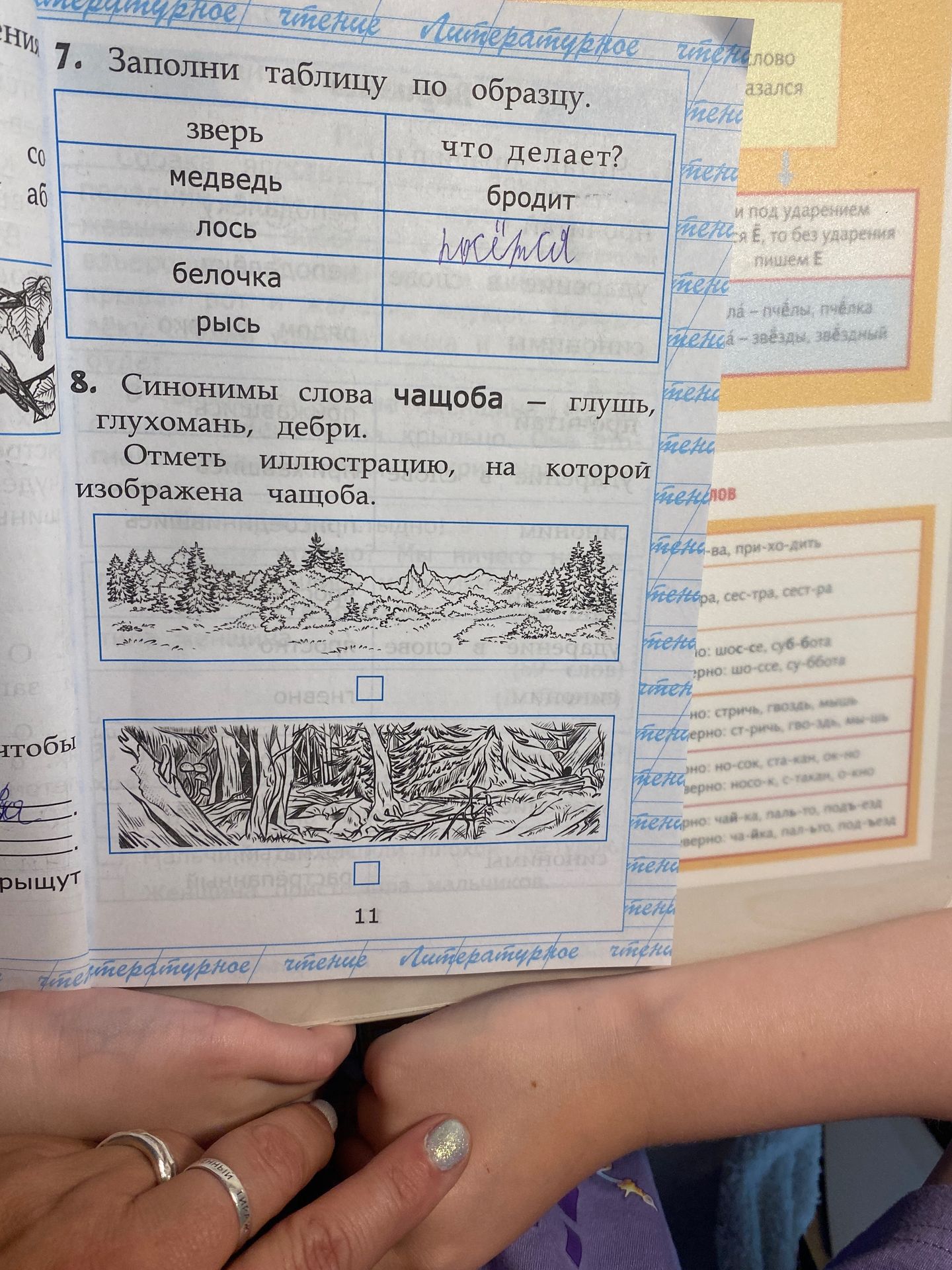 Фото задания: 8. Синонимы слова чащоба — глушь, глухомань, дебри. Отметь иллюстрацию, на которой изображена чащоба.