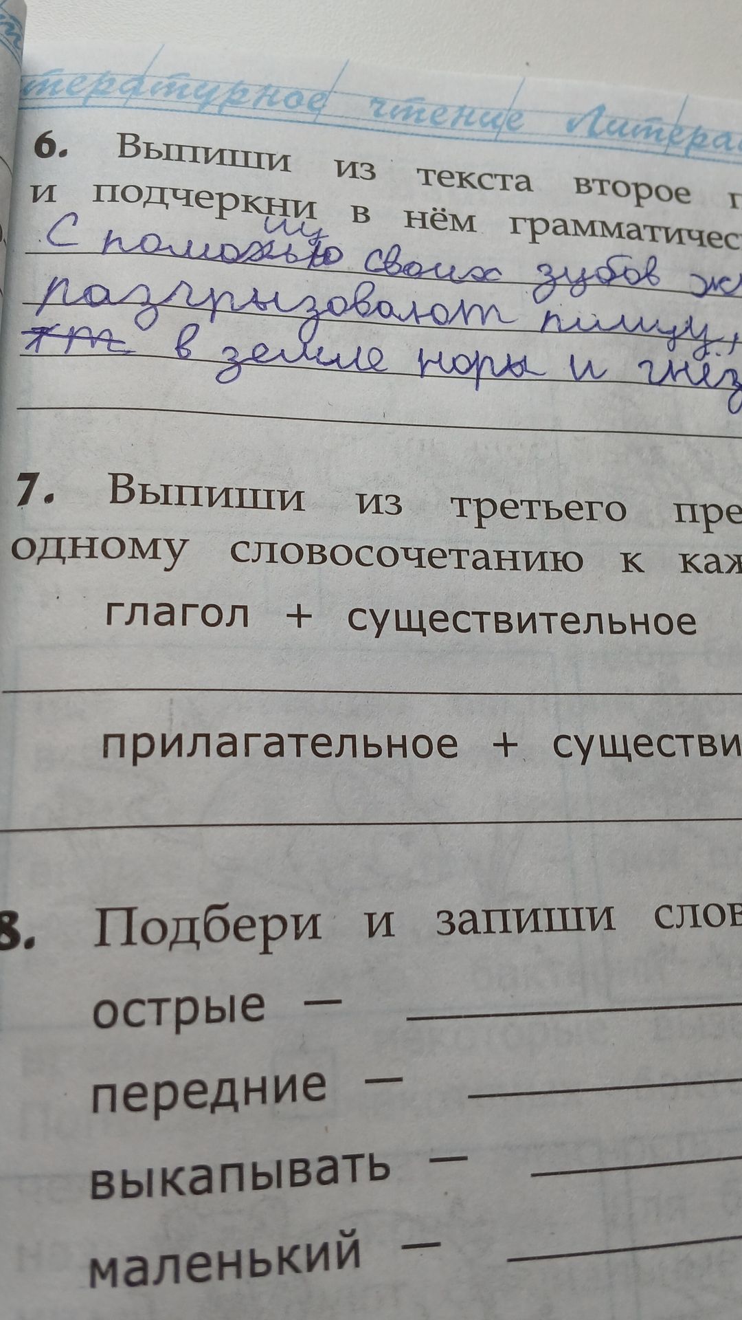 Фото задания: 7. Выпиши из третьего предложения по одному словосочетанию к каждой схеме: глагол + существительное; прилагательное +…
