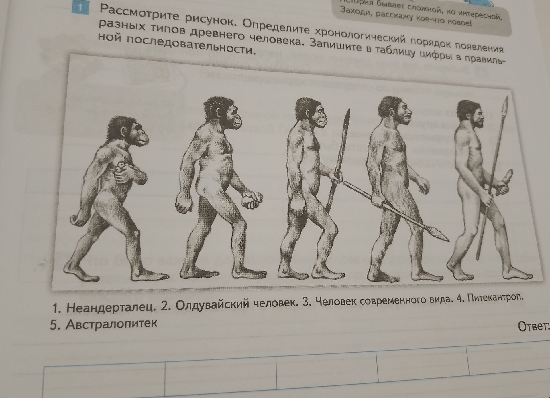 Фото задания: Рассмотрите рисунок. Определите хронологический порядок появления разных типов древнего человека. Запишите в таблицу цифры…