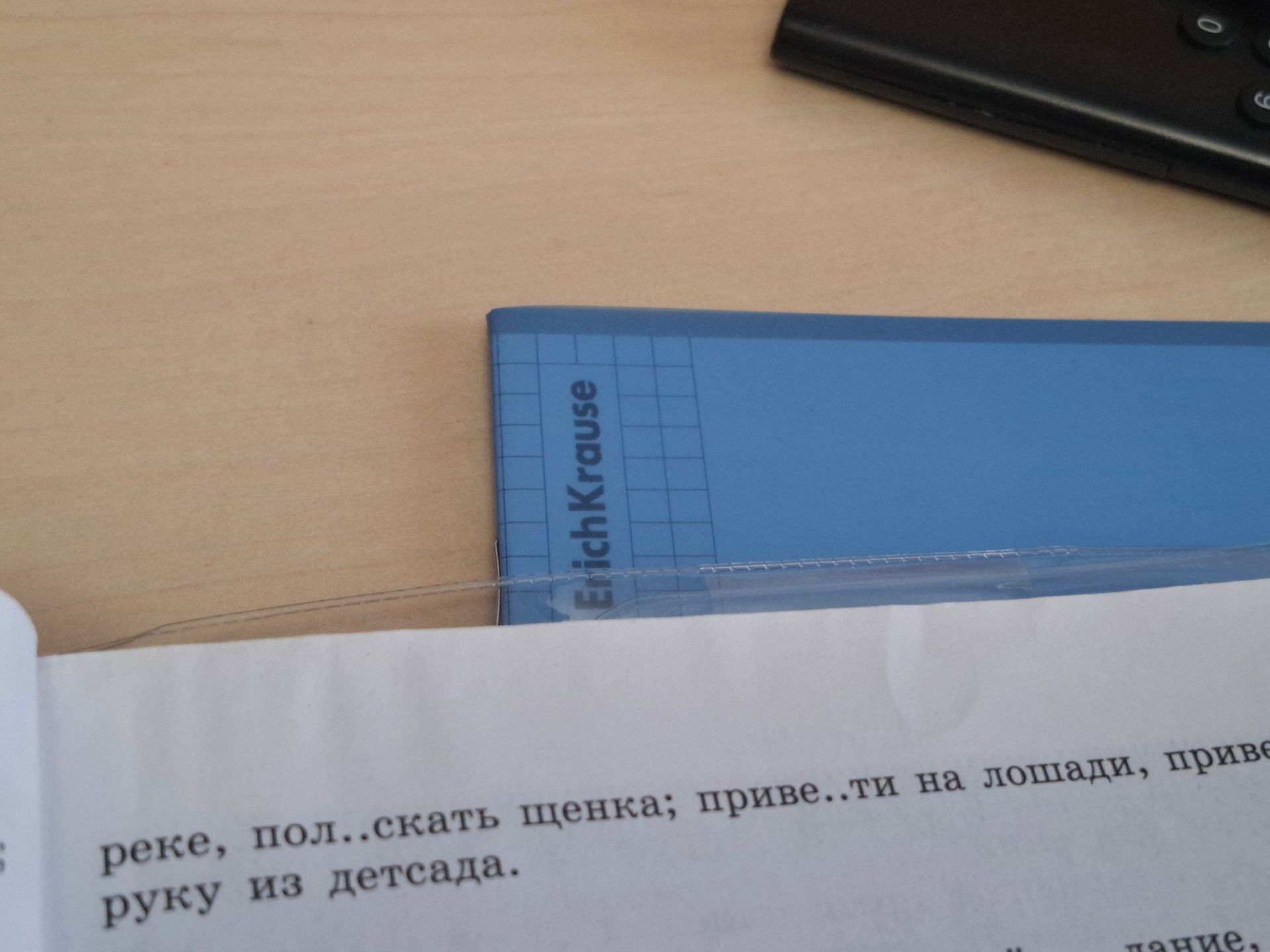 Фото задания: [Текст задания на фотографии обрезан: «… реке, пол…скать щенка; приве…ти на лошадях, прихв…тить руку из детсада.»]