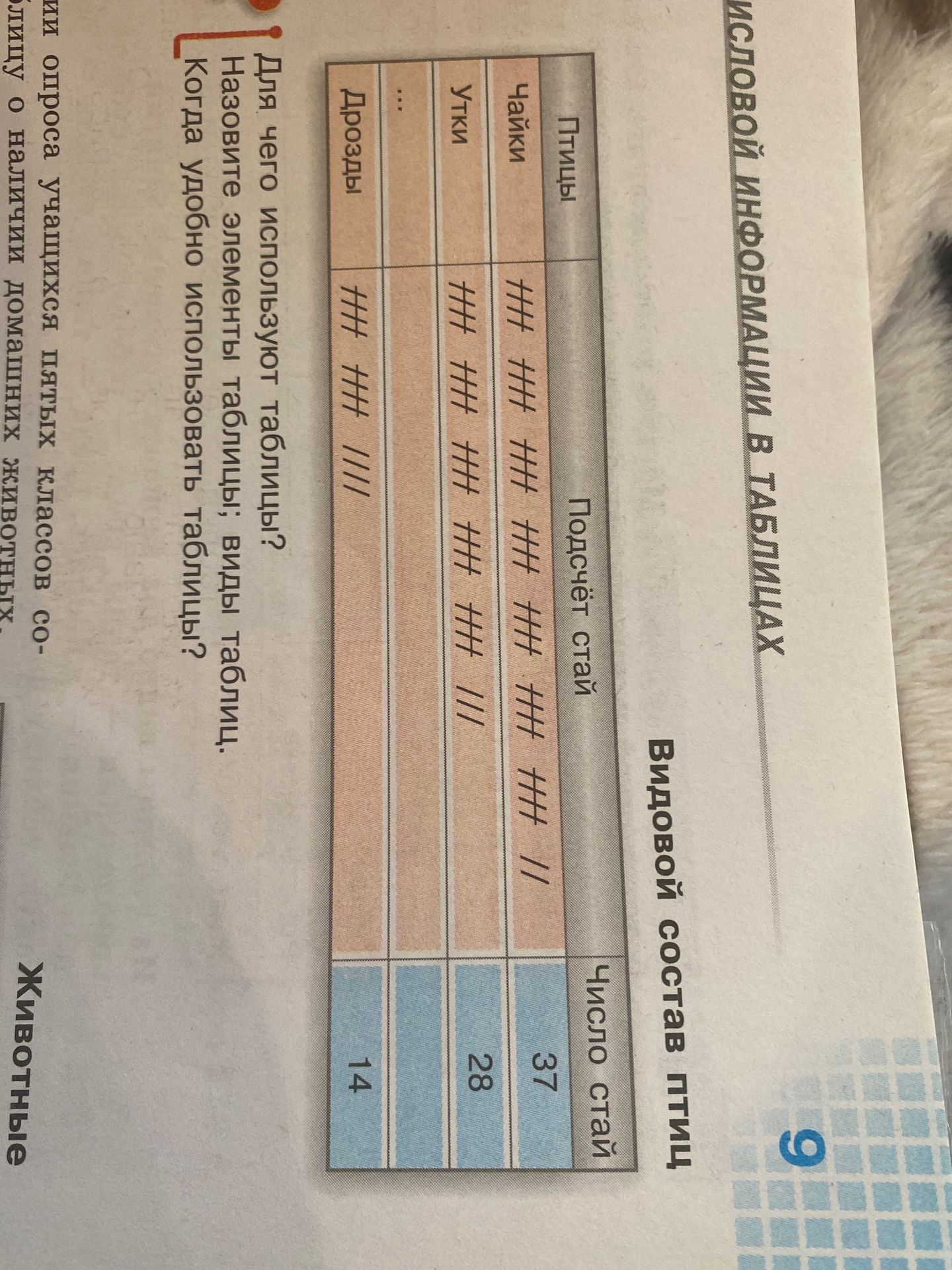 Фото задания: По таблице «Видовой состав птиц» определите, сколько птиц насчитывается в каждой группе: чайки, утки, дрозды.