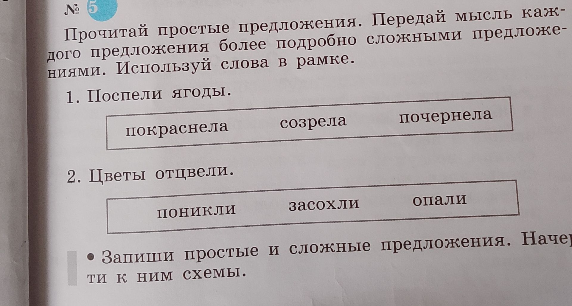 Фото задания: 2. Цветы отцвели. Используй слова в рамке: поникли, засохли, опали.