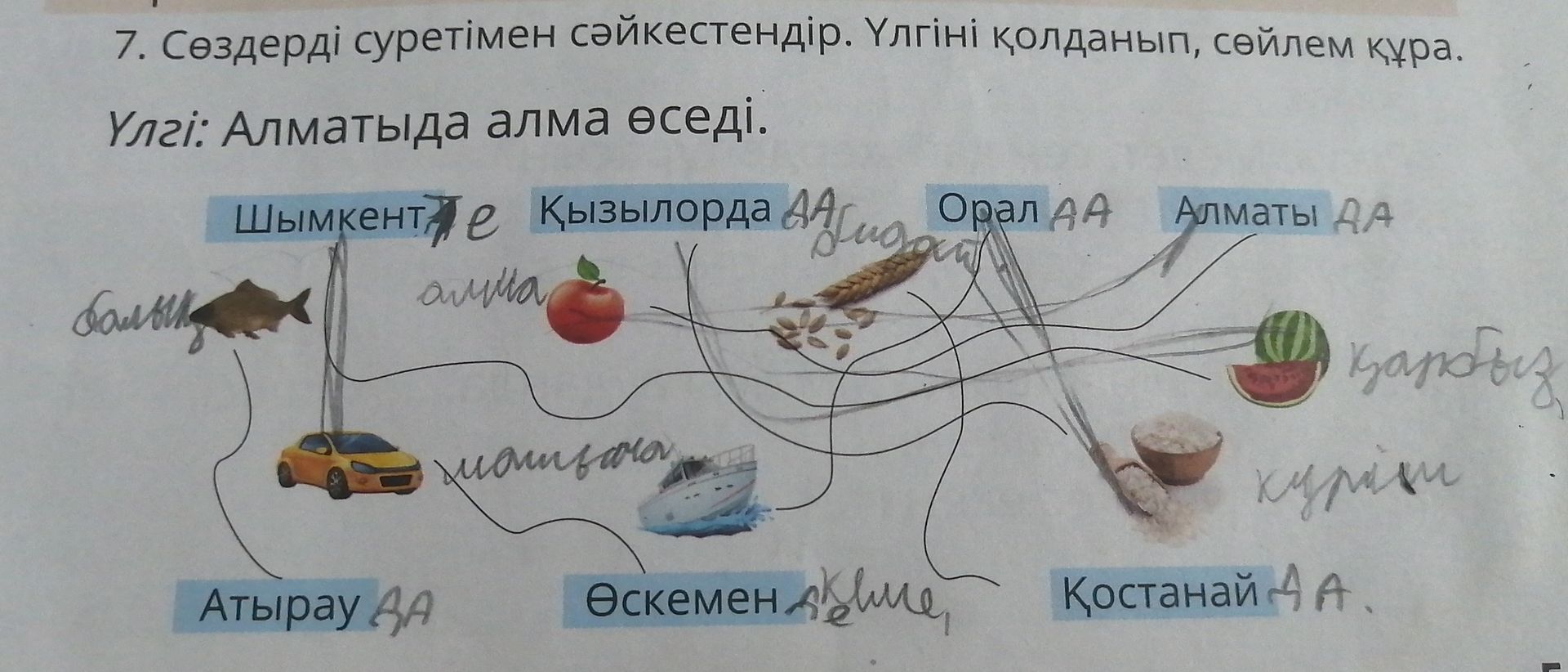 Фото задания: 7. Сөздерді суретімен сәйкестендір. Үлгіні қолданып, сөйлем құра. Үлгі: Алматыда алма өседі. Сөздер: Шымкент, Қызылорда,…