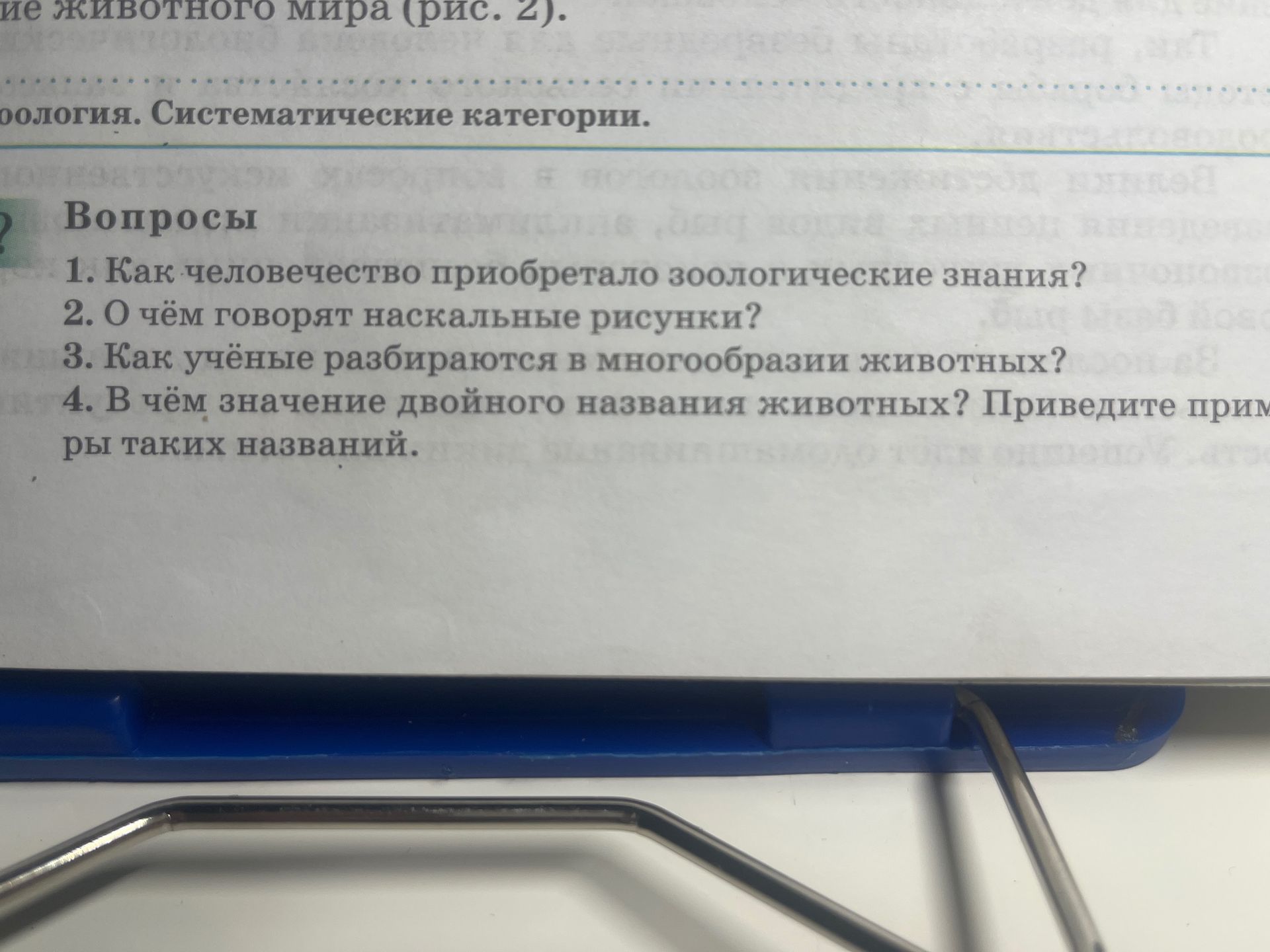Фото задания: 2. О чём говорят наскальные рисунки?