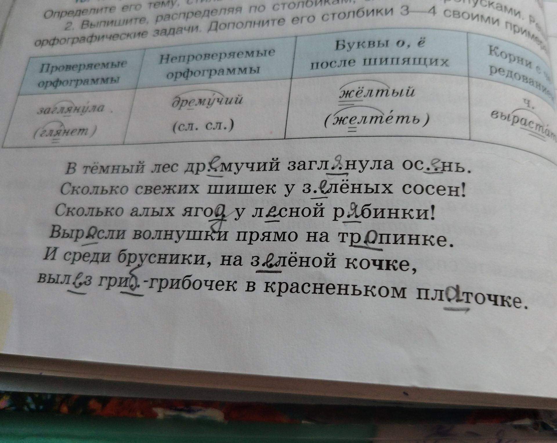 Фото задания: Вставьте пропущенные буквы и распределите слова по столбикам: проверяемые орфограммы; непроверяемые орфограммы; буквы о, ё…