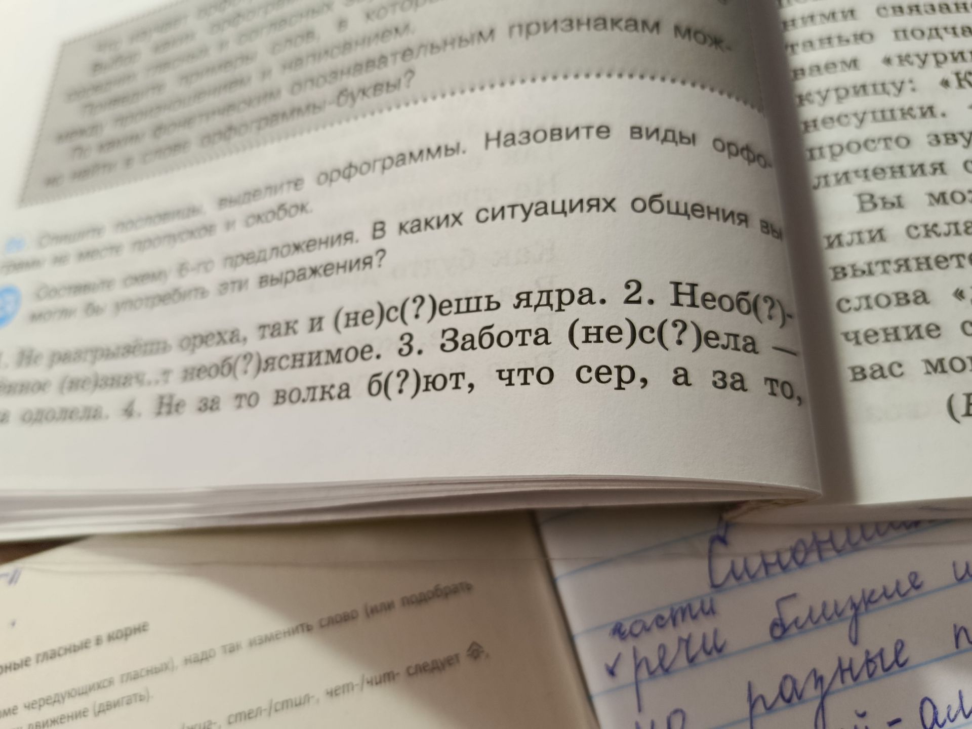 Фото задания: Задание на фотографии обрезано: «Спишите предложения, вставляя пропущенные буквы и раскрывая скобки. Назовите виды орфограмм.…