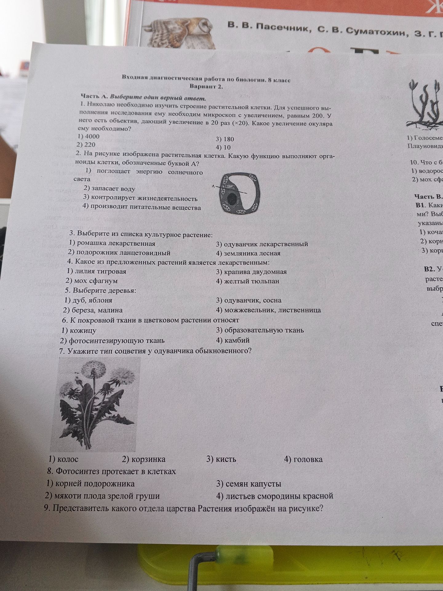 Фото задания: 7. Укажите тип соцветия у одуванчика обыкновенного: 1) колос 2) корзинка 3) кисть 4) головка