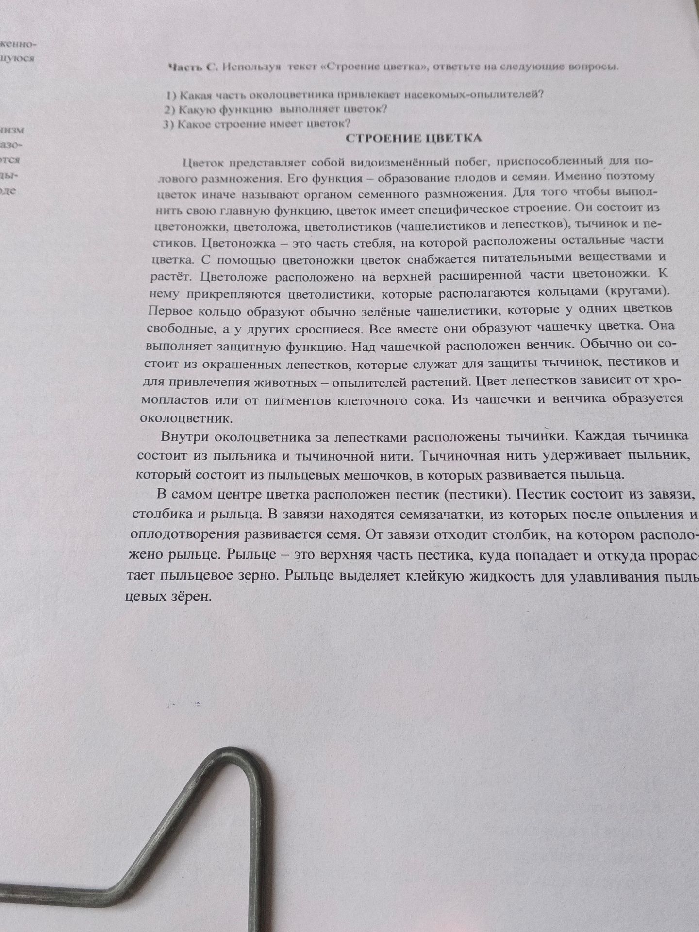 Фото задания: 3) Какое строение имеет цветок?