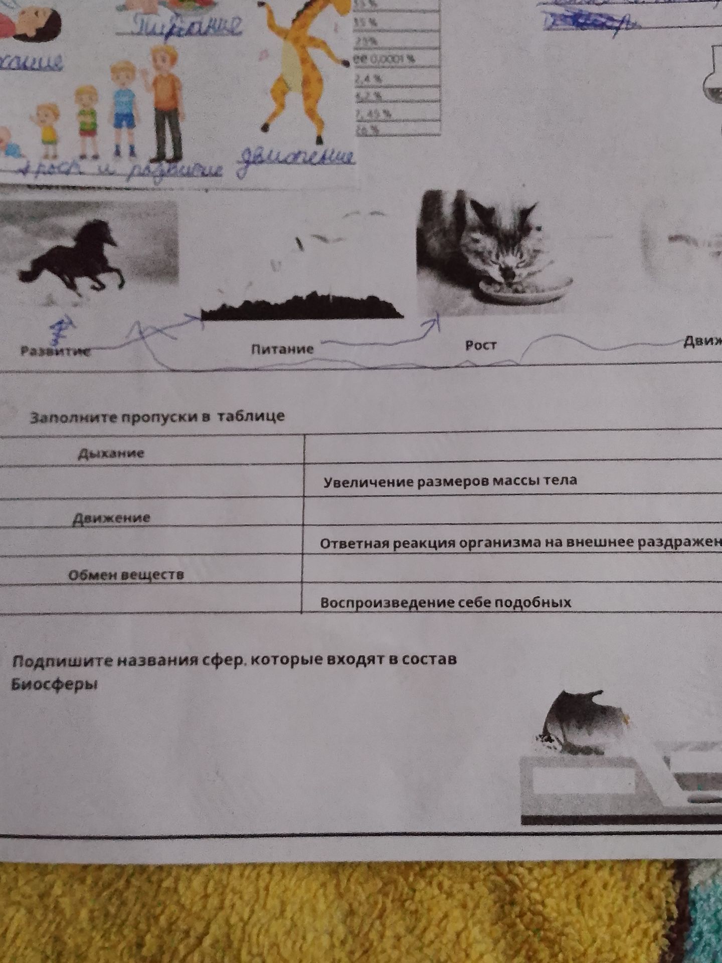Фото задания: Определите основные свойства живых организмов по рисункам: развитие, питание, рост, движение.