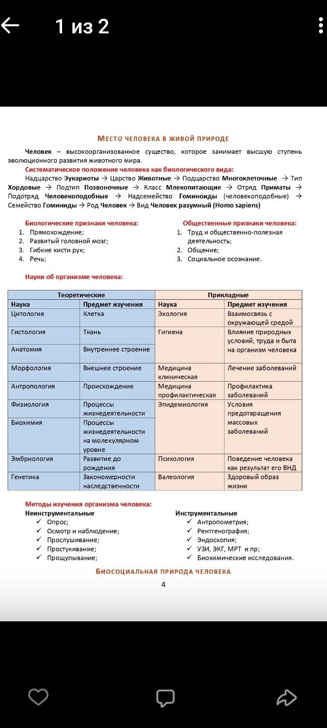 Фото задания: Что отражено на изображении?