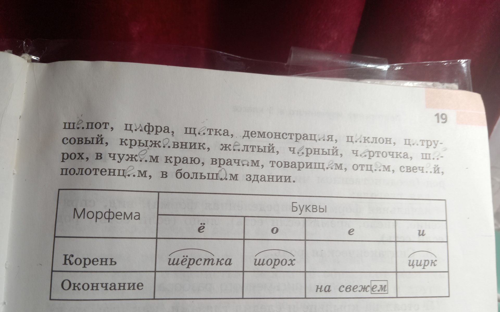 Фото задания: Ш..пот, ц..фра, щ..тка, демонстрац..я, ц..клон, ц..трусовый, крыж..вник, ж..лтый, ч..рный, ч..рточка, ш..рох, в чуж..м…
