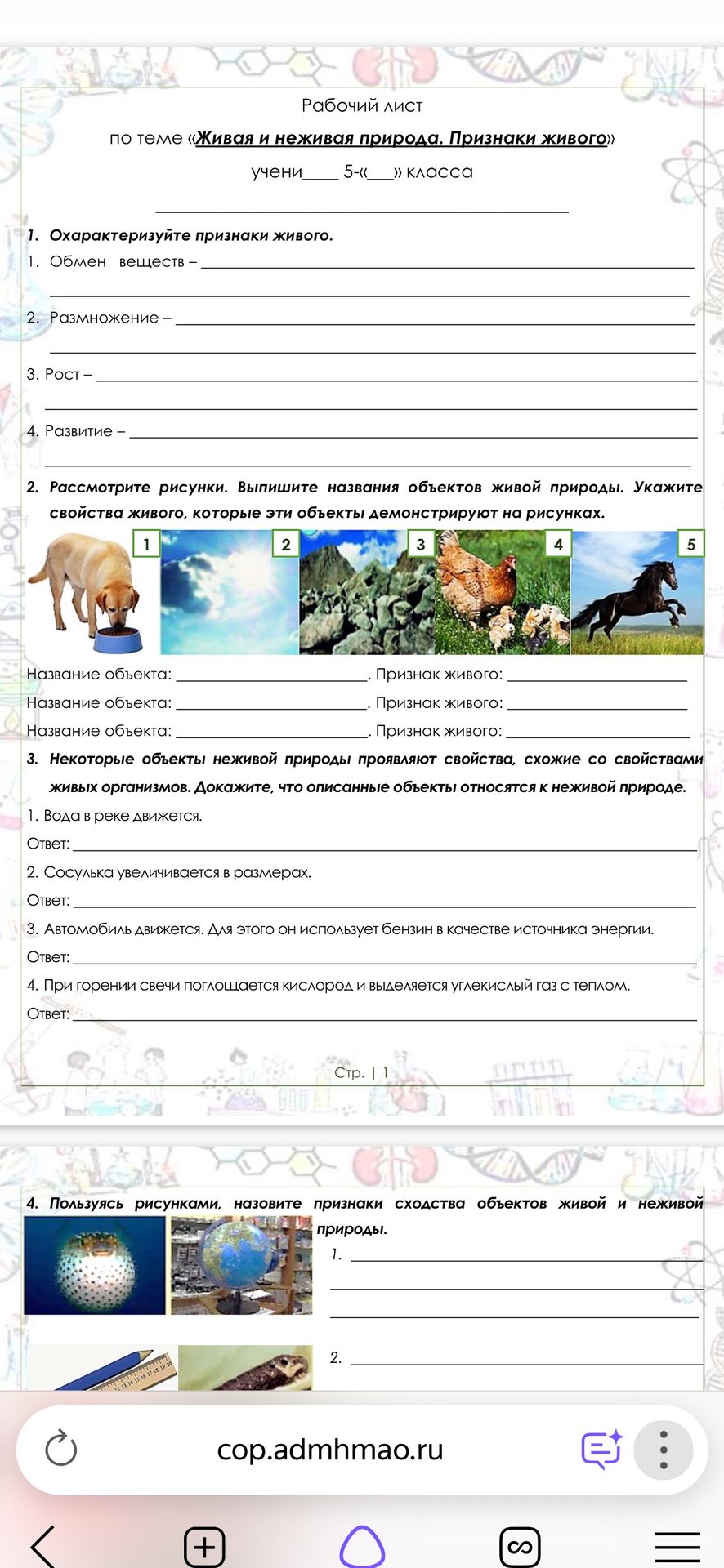 Фото задания: 4. Пользуясь рисунками, назовите признаки сходства объектов живой и неживой природы.