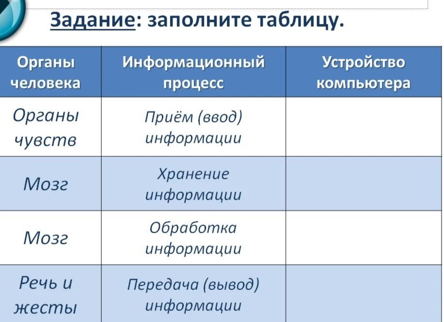 Фото задания: Задание: заполните таблицу. Органы человека — Информационный процесс — Устройство компьютера: органы чувств — приём (ввод)…