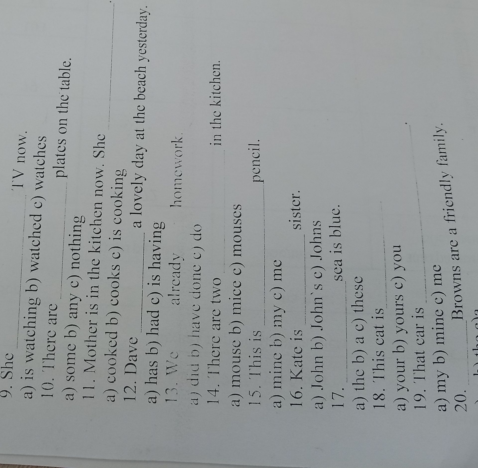 Фото задания: 10. There are ___ plates on the table. a) some b) any c) nothing