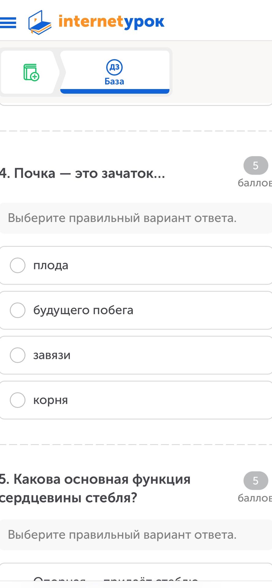 Фото задания: 5. Какова основная функция сердцевины стебля?