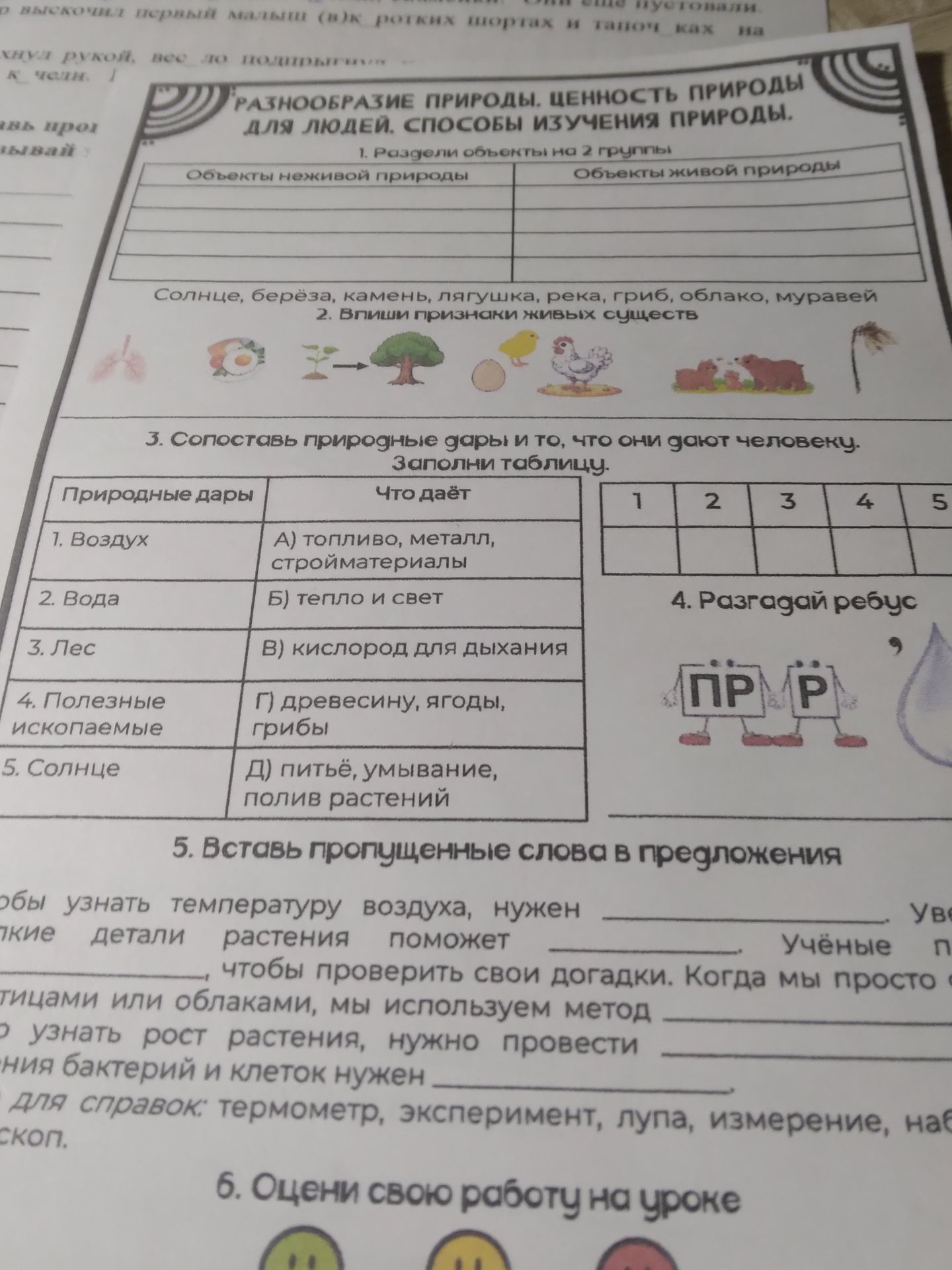 Фото задания: 1. Раздели объекты на 2 группы: солнце, берёза, камень, лягушка, река, гриб, облако, муравей. Объекты неживой природы;…