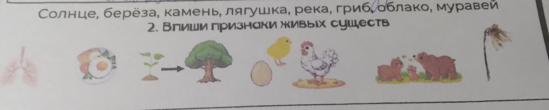 Фото задания: 2. Впиши признаки живых существ.