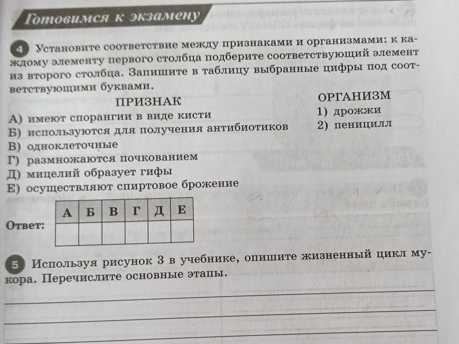 Фото задания: 5. Используя рисунок 3 в учебнике, опишите жизненный цикл мукора. Перечислите основные этапы.