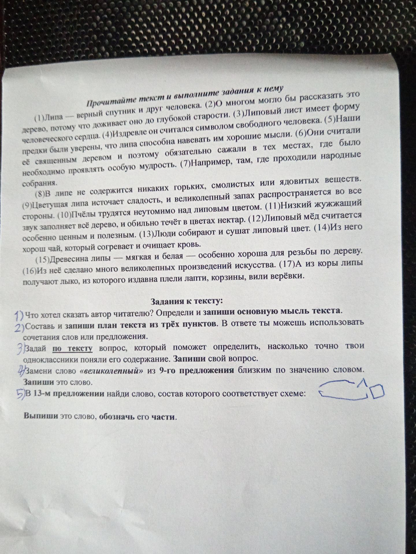Фото задания: 4) Замени слово «великолепный» из 9-го предложения близким по значению словом. Запиши это слово.