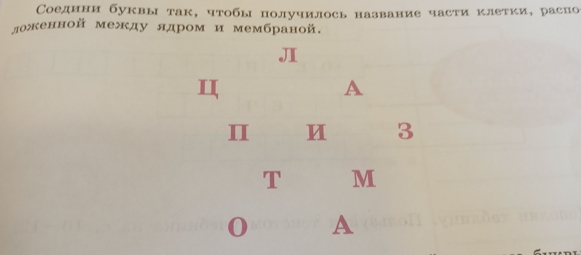Фото задания: Соедини буквы так, чтобы получилось название части клетки, расположенной между ядром и мембраной.