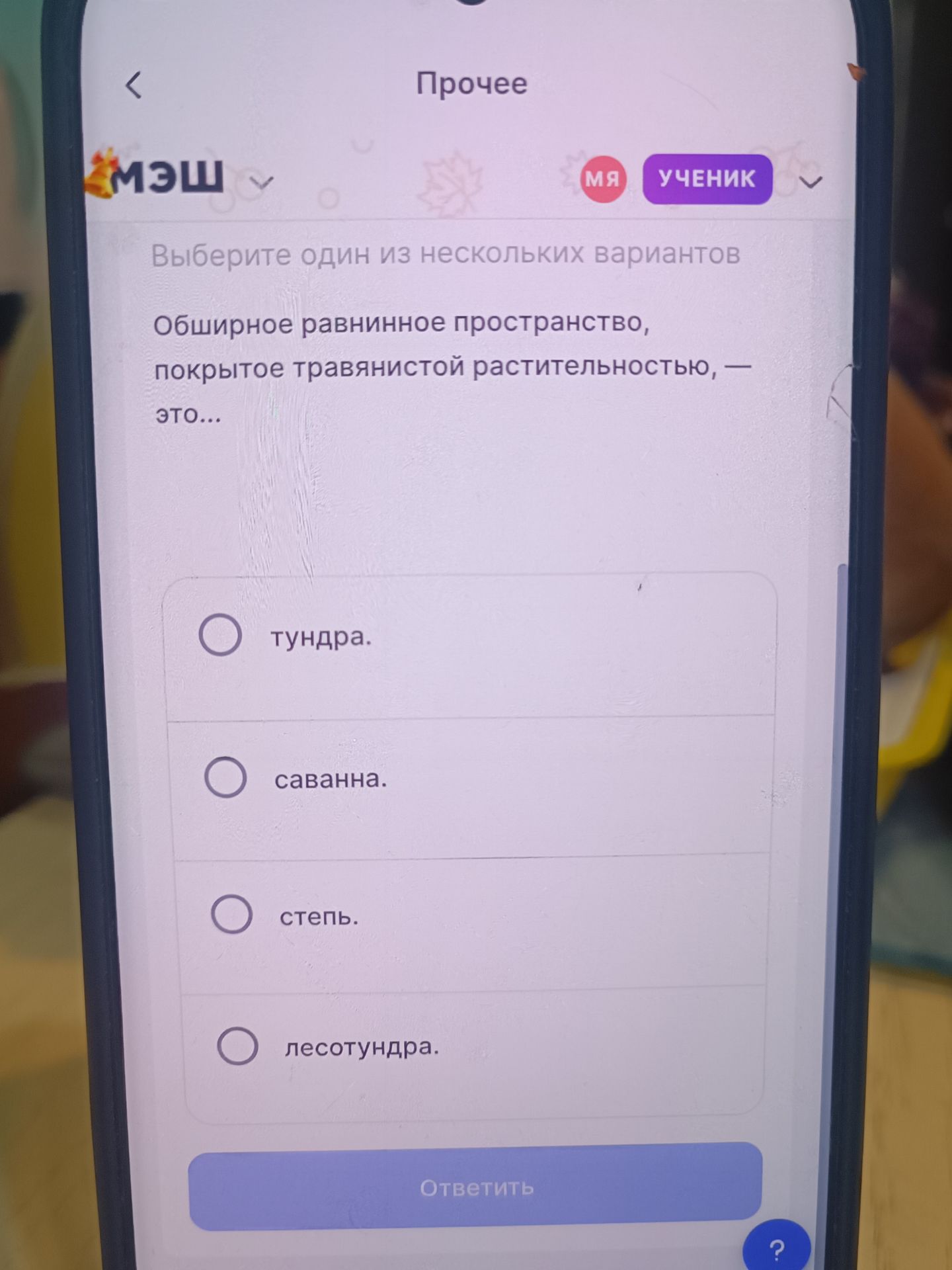 Фото задания: Обширное равнинное пространство, покрытое травянистой растительностью, — это… Варианты: тундра; саванна; степь; лесотундра.