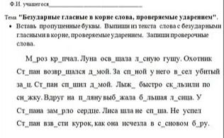 Фото задания: Вставь пропущенные буквы. Выпиши из текста слова с безударными гласными в корне слова, проверяемыми ударением. Запиши…