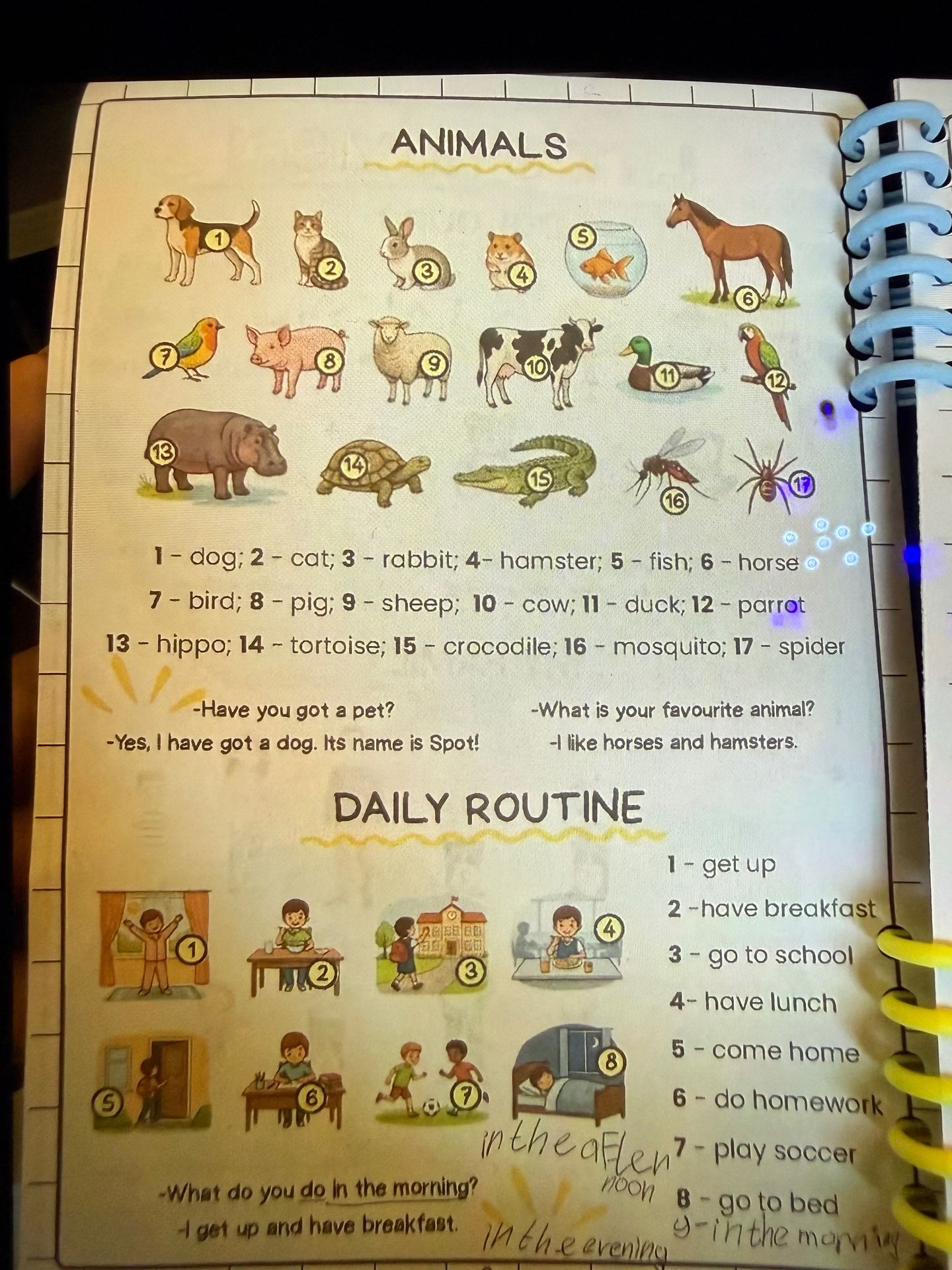Фото задания: Animals: identify the animals numbered 1–17.