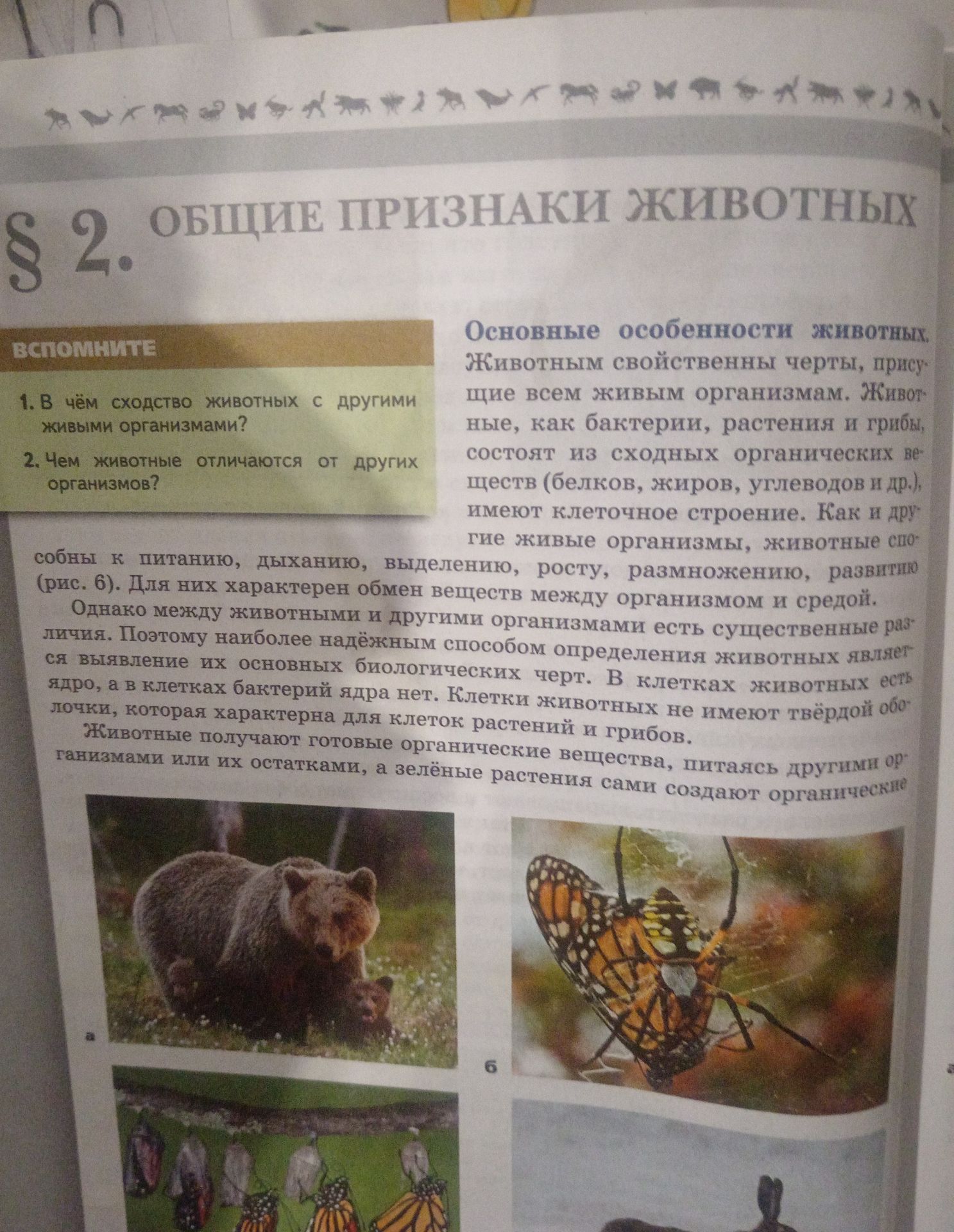 Фото задания: 2. Чем животные отличаются от других организмов?