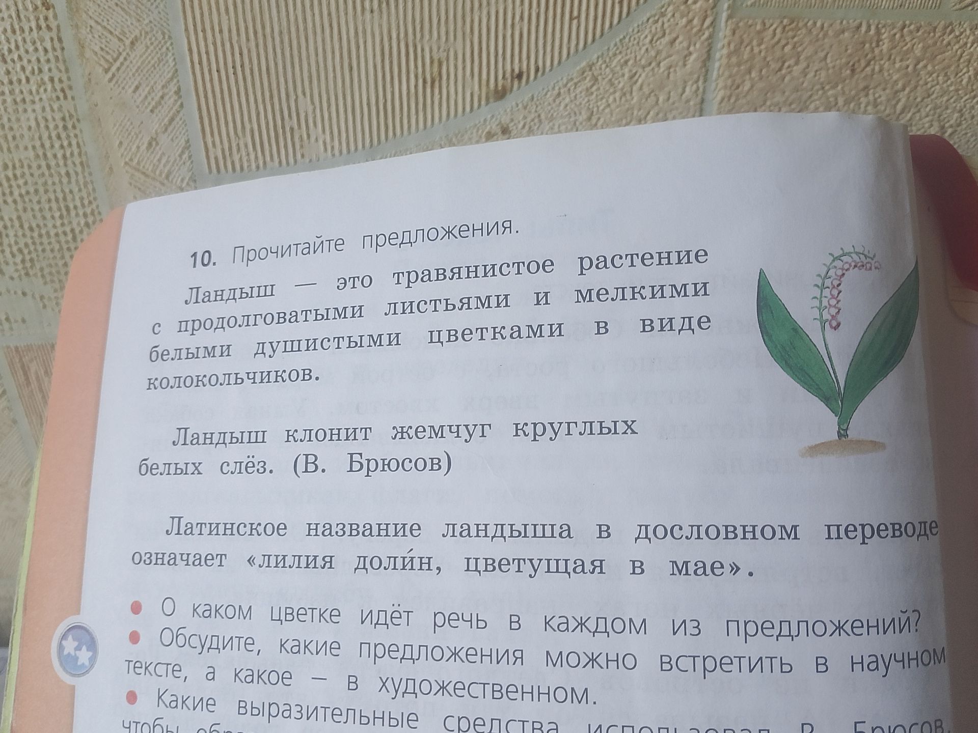 Фото задания: 10. Прочитайте предложения. Ландыш — это травянистое растение с продолговатыми листьями и мелкими белыми душистыми цветками в…