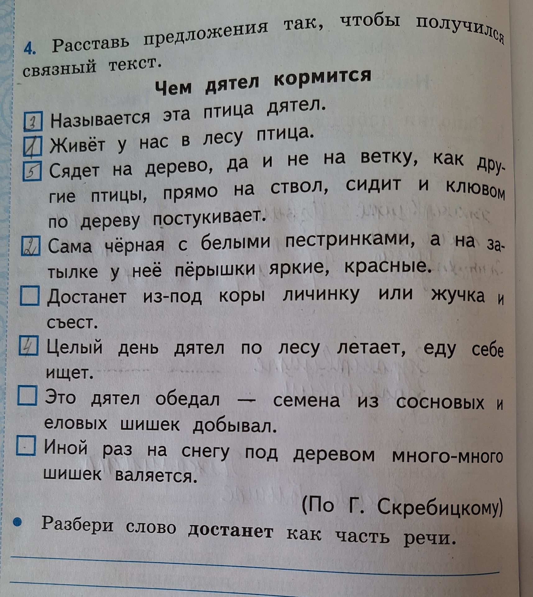 Фото задания: Расставь предложения так, чтобы получился связный текст. «Называется эта птица дятел. Живёт у нас в лесу птица. Сядет на…