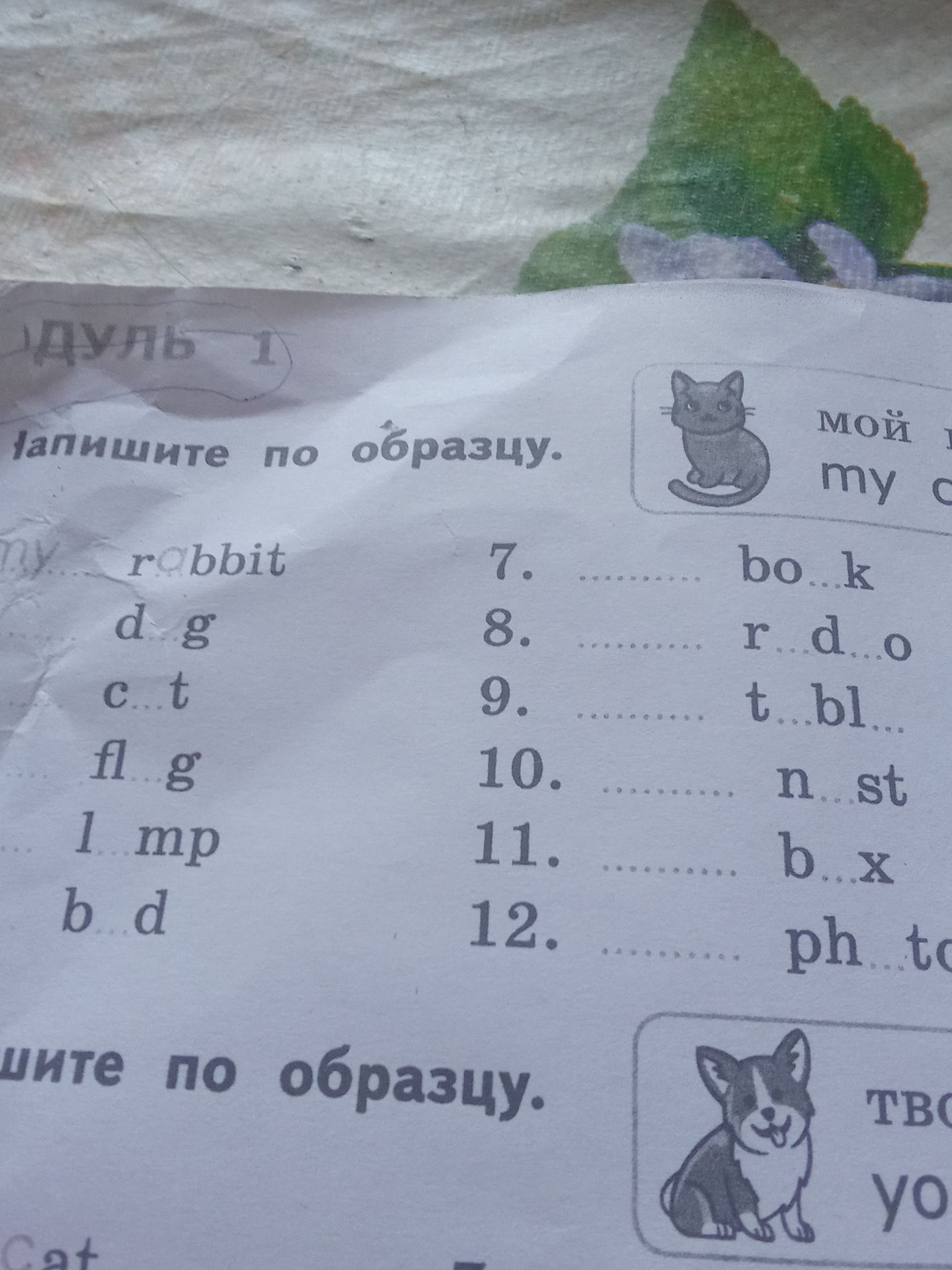Фото задания: Запишите по образцу. Вставьте пропущенные буквы: 1. r_bbit; 2. d_g; 3. c_t; 4. fl_g; 5. l_mp; 6. b_rd; 7. bo_k; 8. r_d_o;…