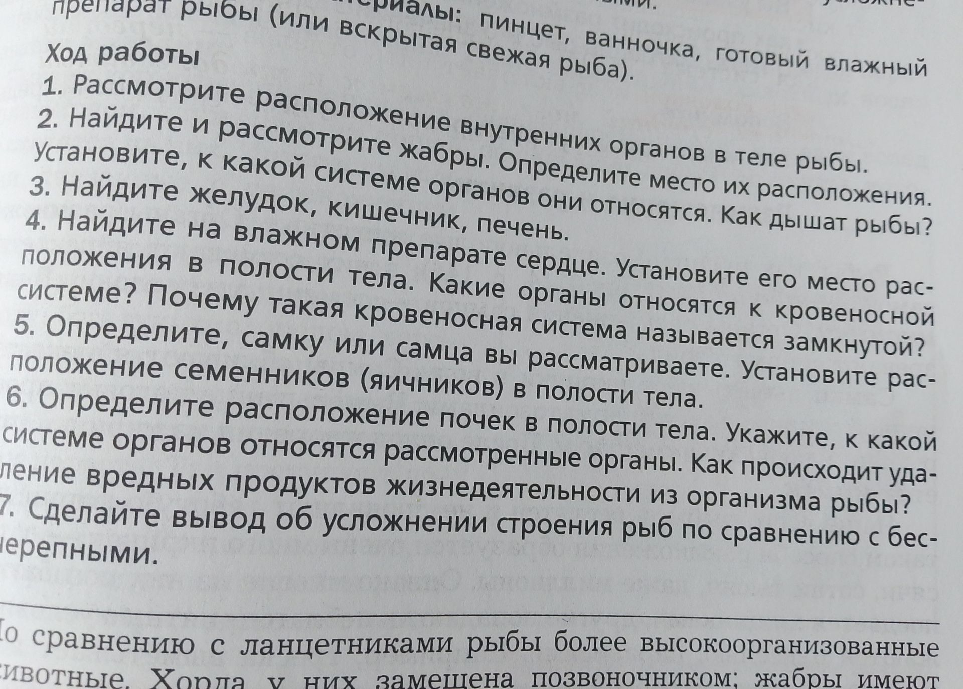 Фото задания: 1. Рассмотрите расположение внутренних органов в теле рыбы.