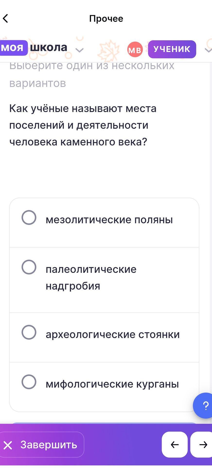 Фото задания: Как учёные называют места поселений и деятельности человека каменного века? Мезолитические поляны; палеолитические надгробия;…