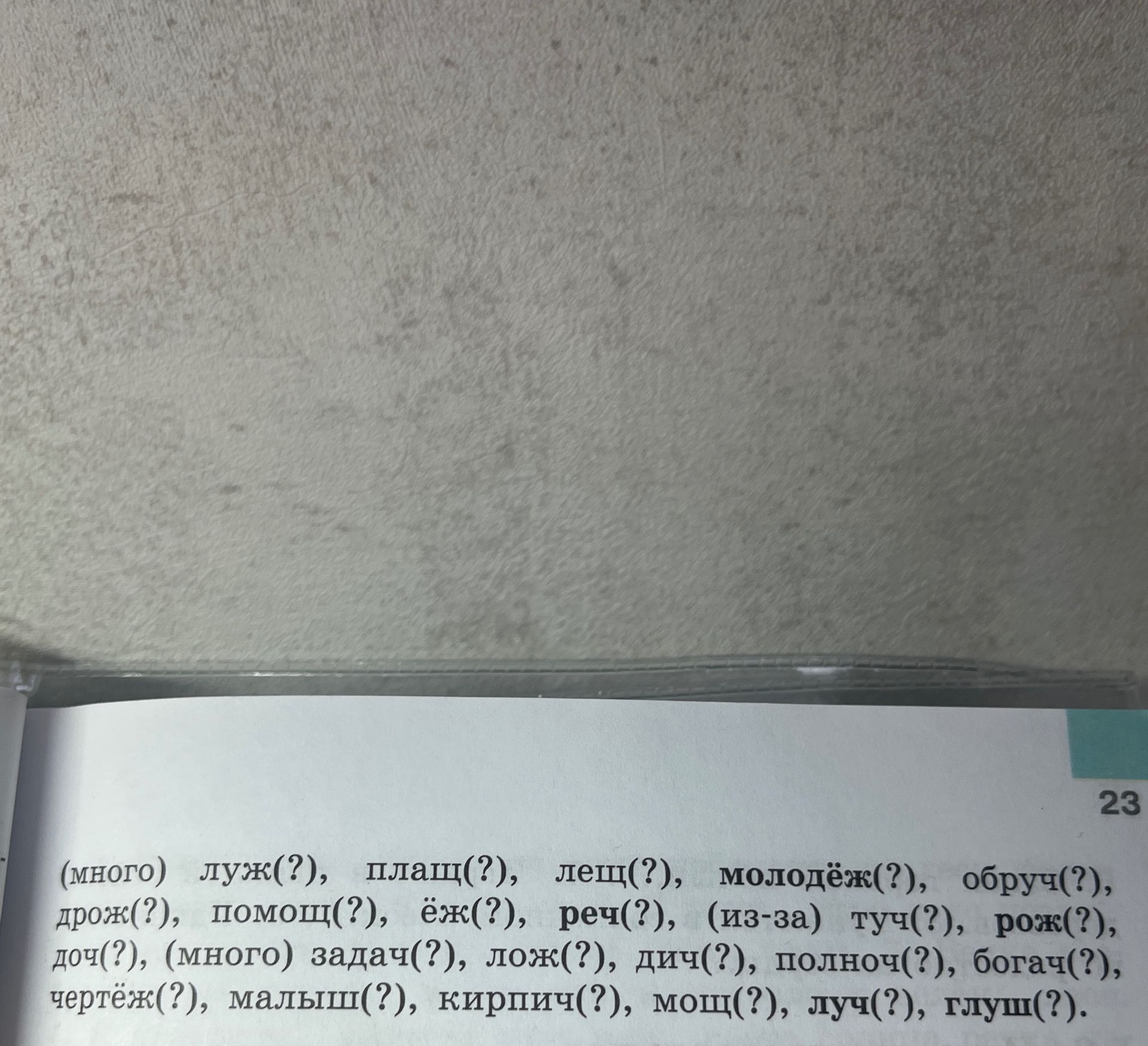 Фото задания: (много) луж(?), плащ(?), лещ(?), молодёжь(?), обруч(?), дрож(?), помощ(?), ёж(?), реч(?), (из-за) туч(?), рож(?), доч(?),…