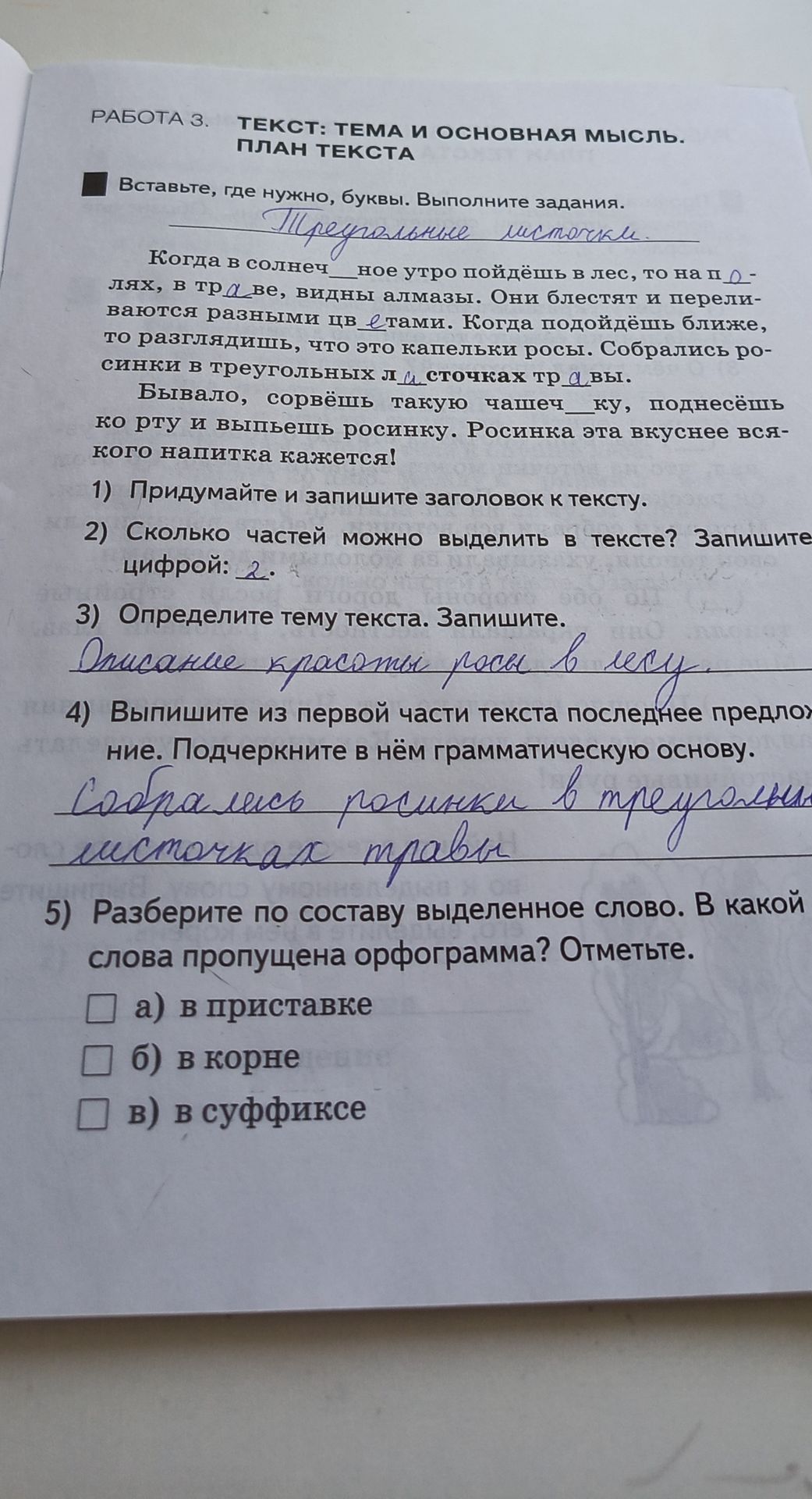 Фото задания: 3) Определите тему текста. Запишите.