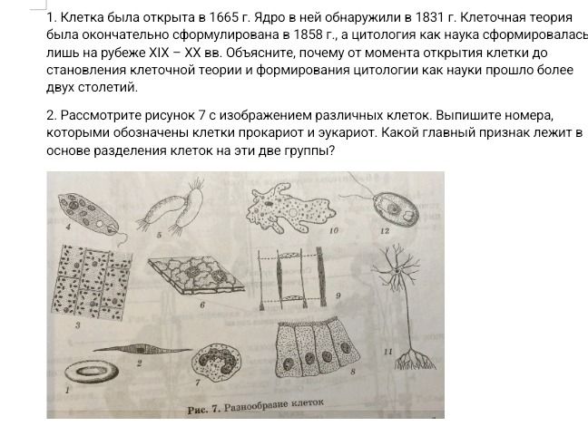 Фото задания: 2. Рассмотрите рисунок 7 с изображением различных клеток. Выпишите номера, которыми обозначены клетки прокариот и эукариот.…