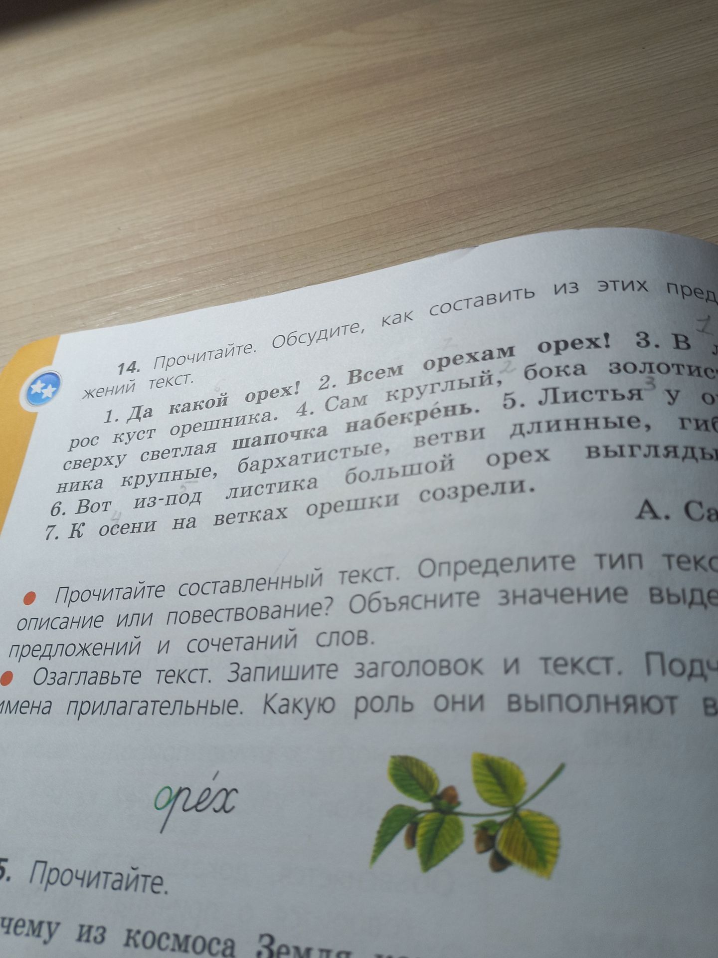 Фото задания: 14. Прочитайте. Обсудите, как составить из этих предложений связный текст. 1. Да какой орех! 2. Всем орехам орех! 3. Вырос…