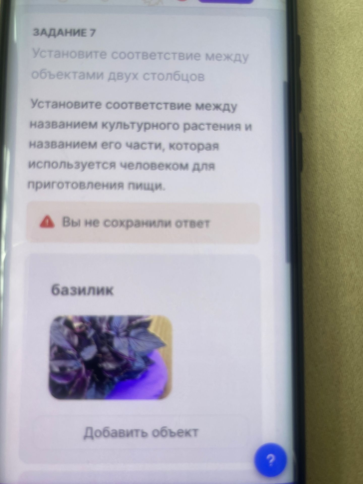 Фото задания: Установите соответствие между названием культурного растения и названием его части, которая используется человеком для…
