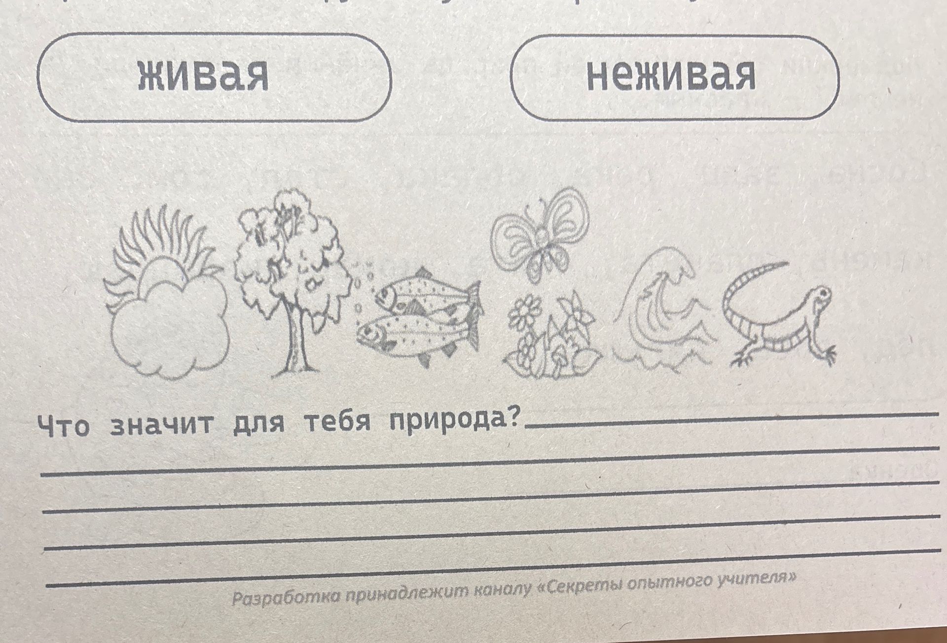 Фото задания: Распредели изображения по группам «Живая» и «Неживая». Что значит для тебя природа?